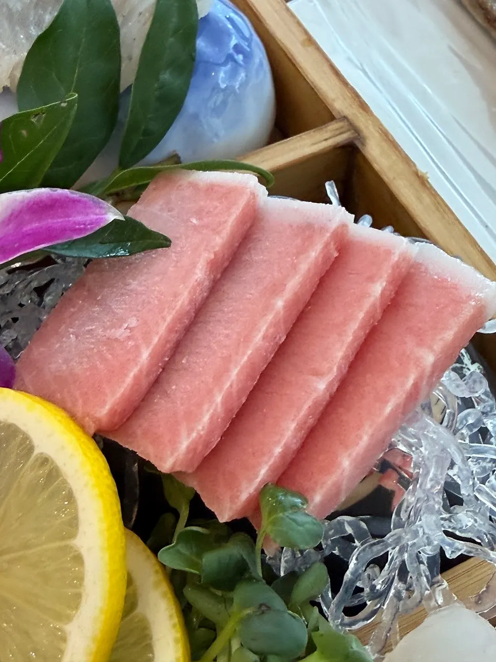 부드러운 참다랑어 참치회