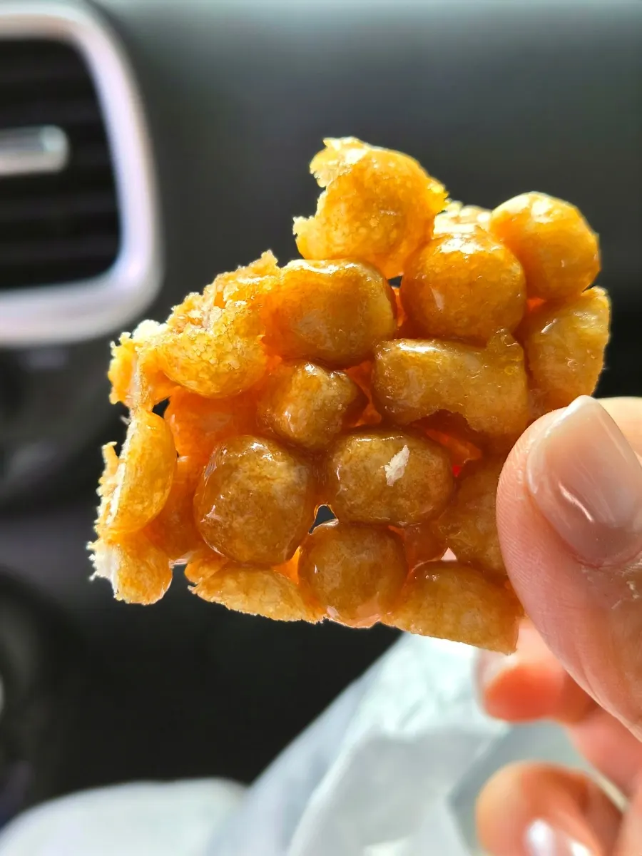 Cross-section of square yuzu oranda and Udo peanut oranda