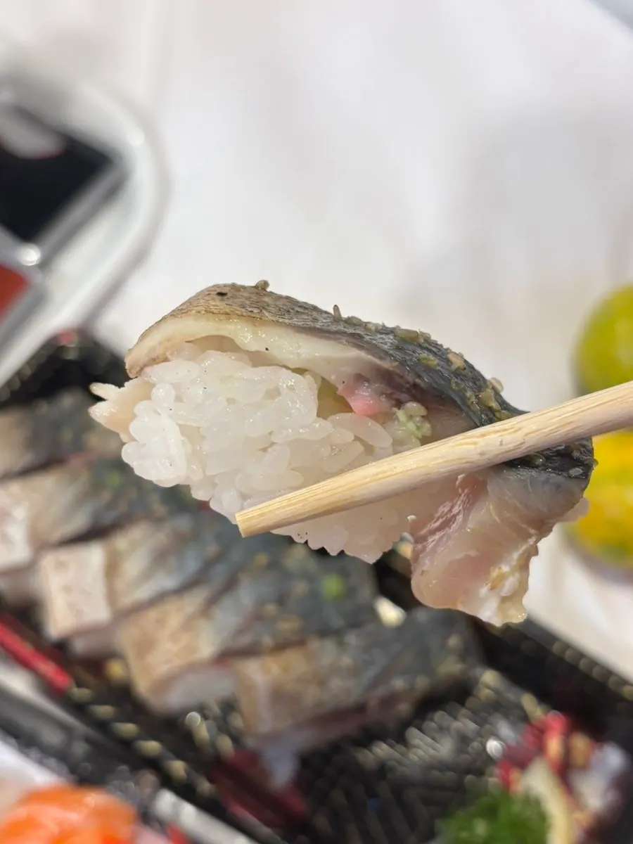 Mackerel sushi placed alongside sashimi