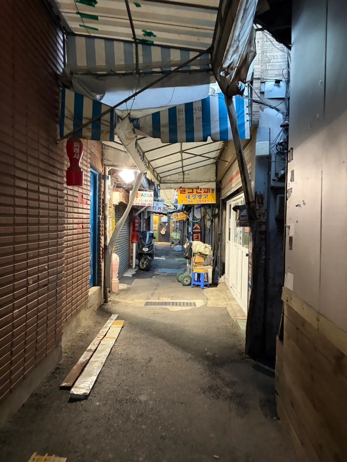 Visiting Big Tail near Dongmyo Toy Street