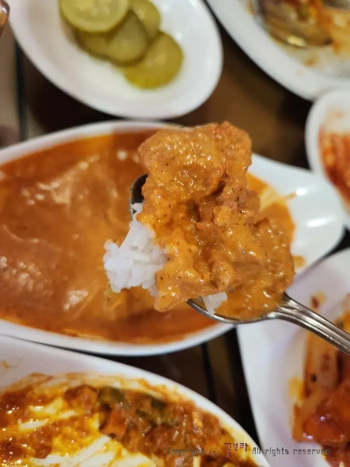 부드러운 마크니 치킨커리
