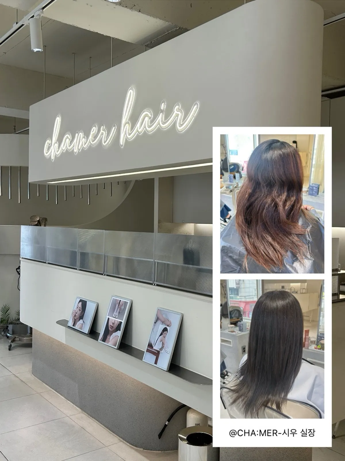 Visit photo for Chamer matte brown hair color