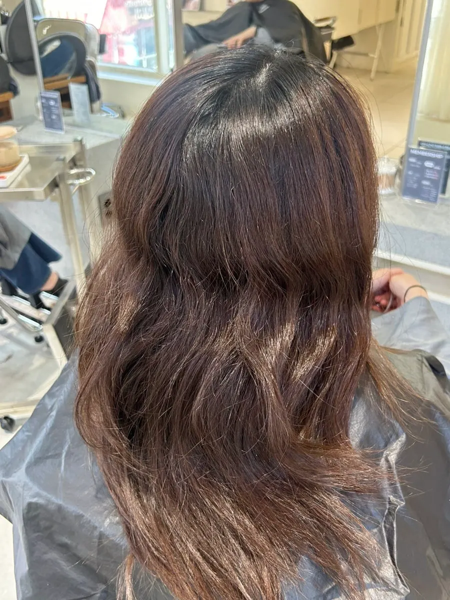 Hair condition before matte brown color