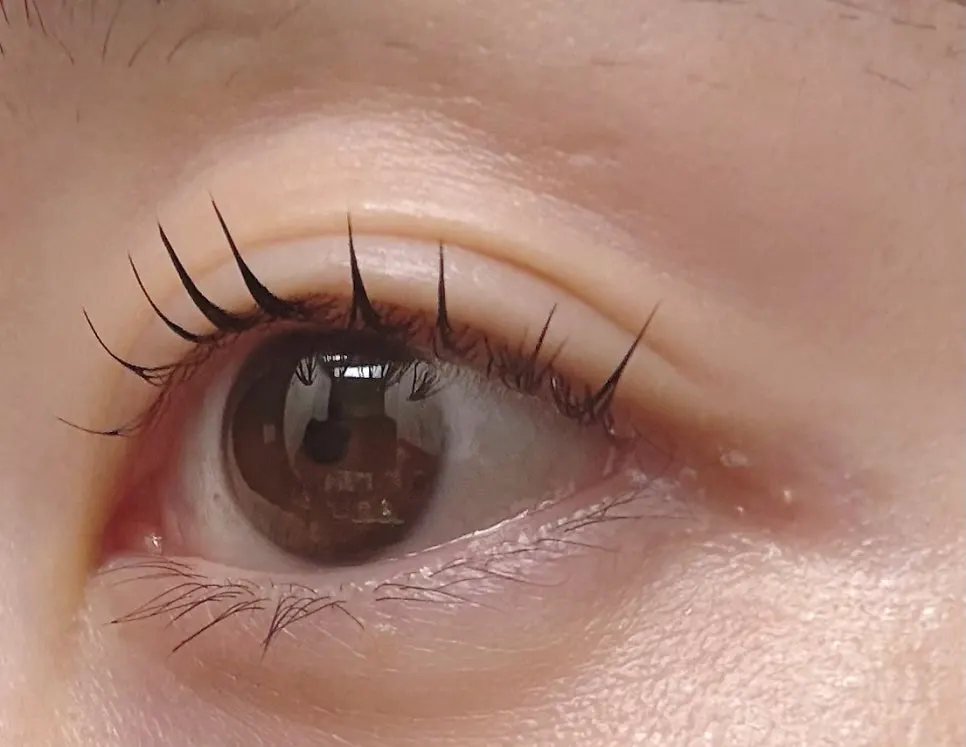 Clearly lifted lash curl