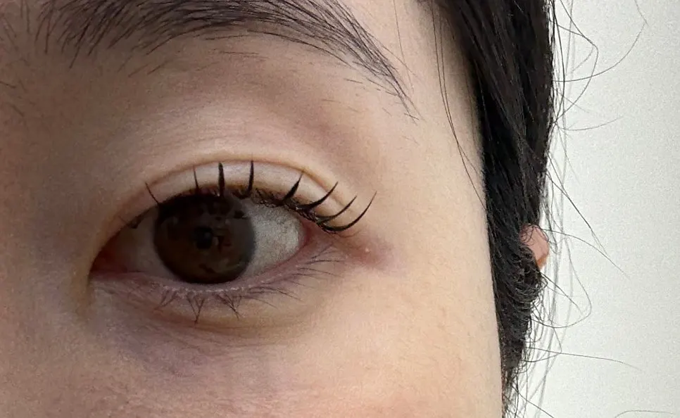 Lashes lifted with an L-shaped effect