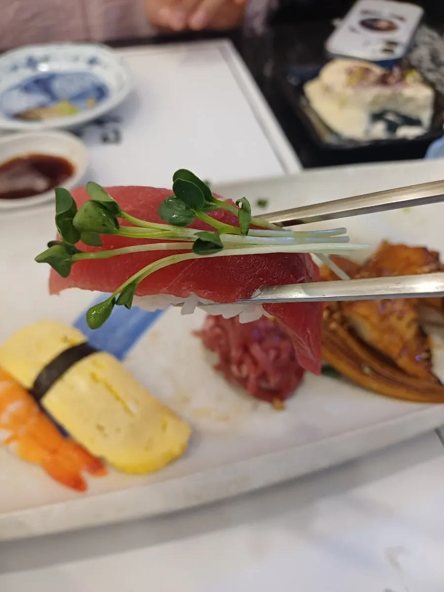 Sushi selection with salmon and shrimp