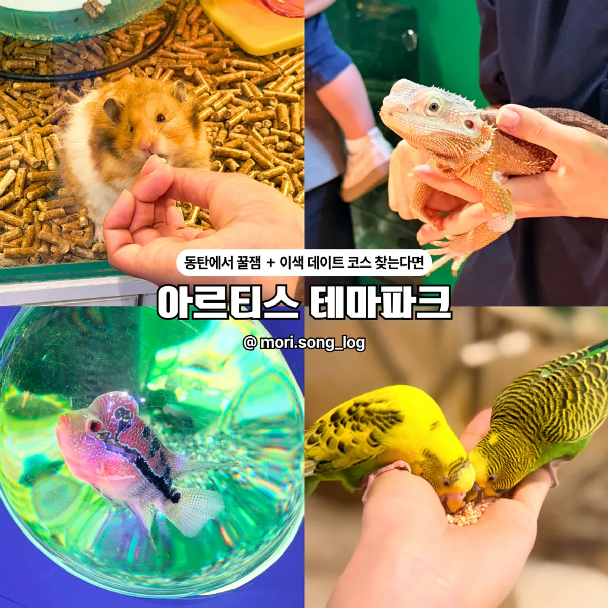 동탄 아르티스테마파크 실내 체험 공간