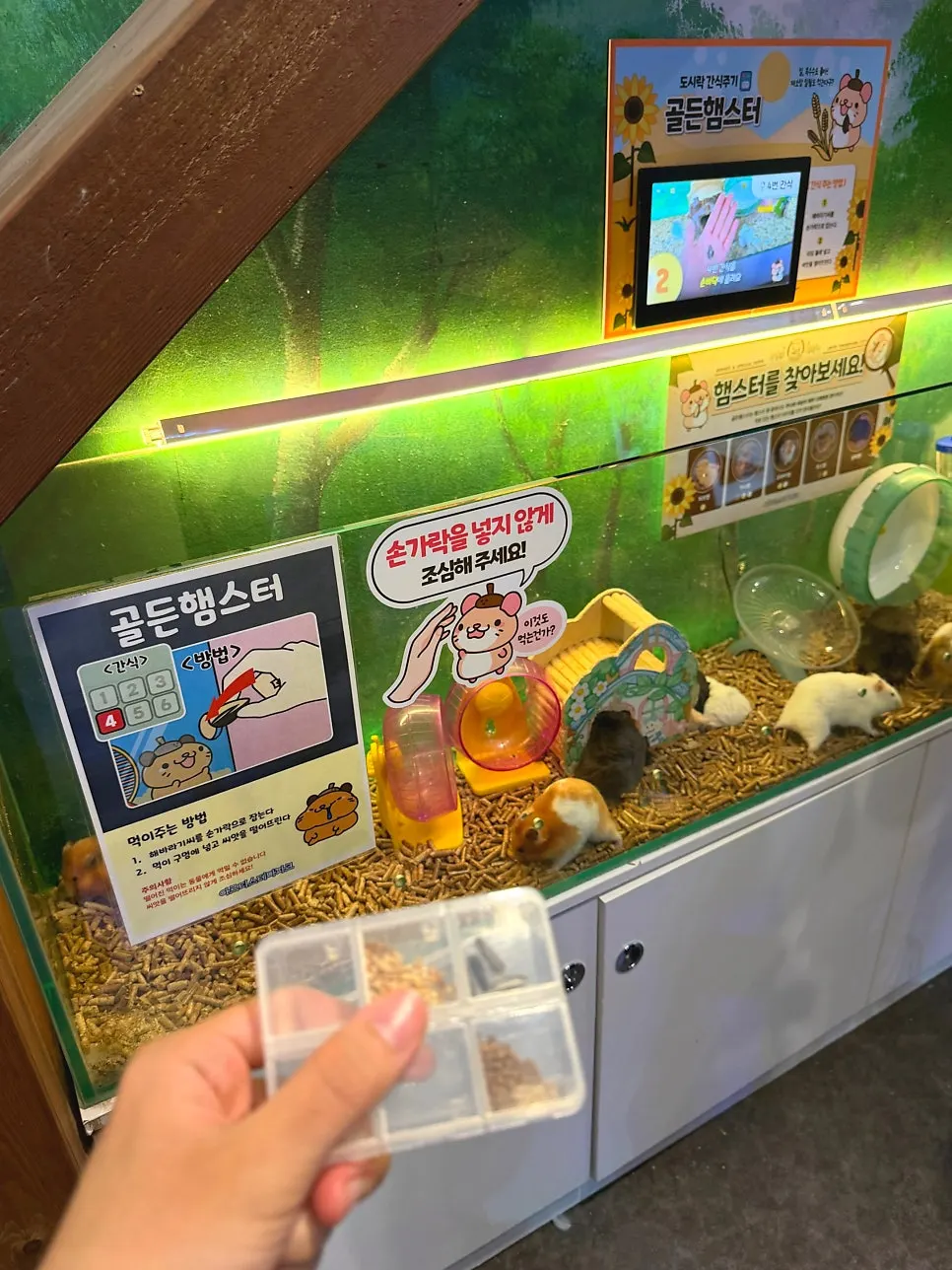 Hamster-feeding activity area