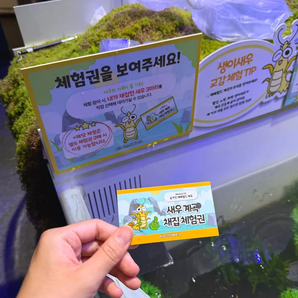 Shrimp, hermit crab, and blue crab collecting experience