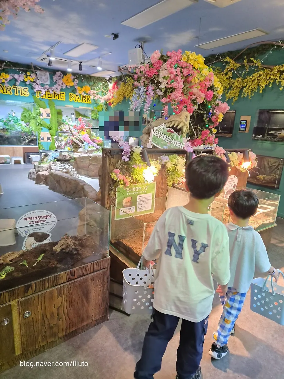 Insect display with rhinoceros beetles and giant snails