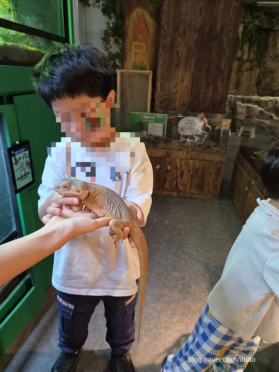 Turtle feeding experience zone