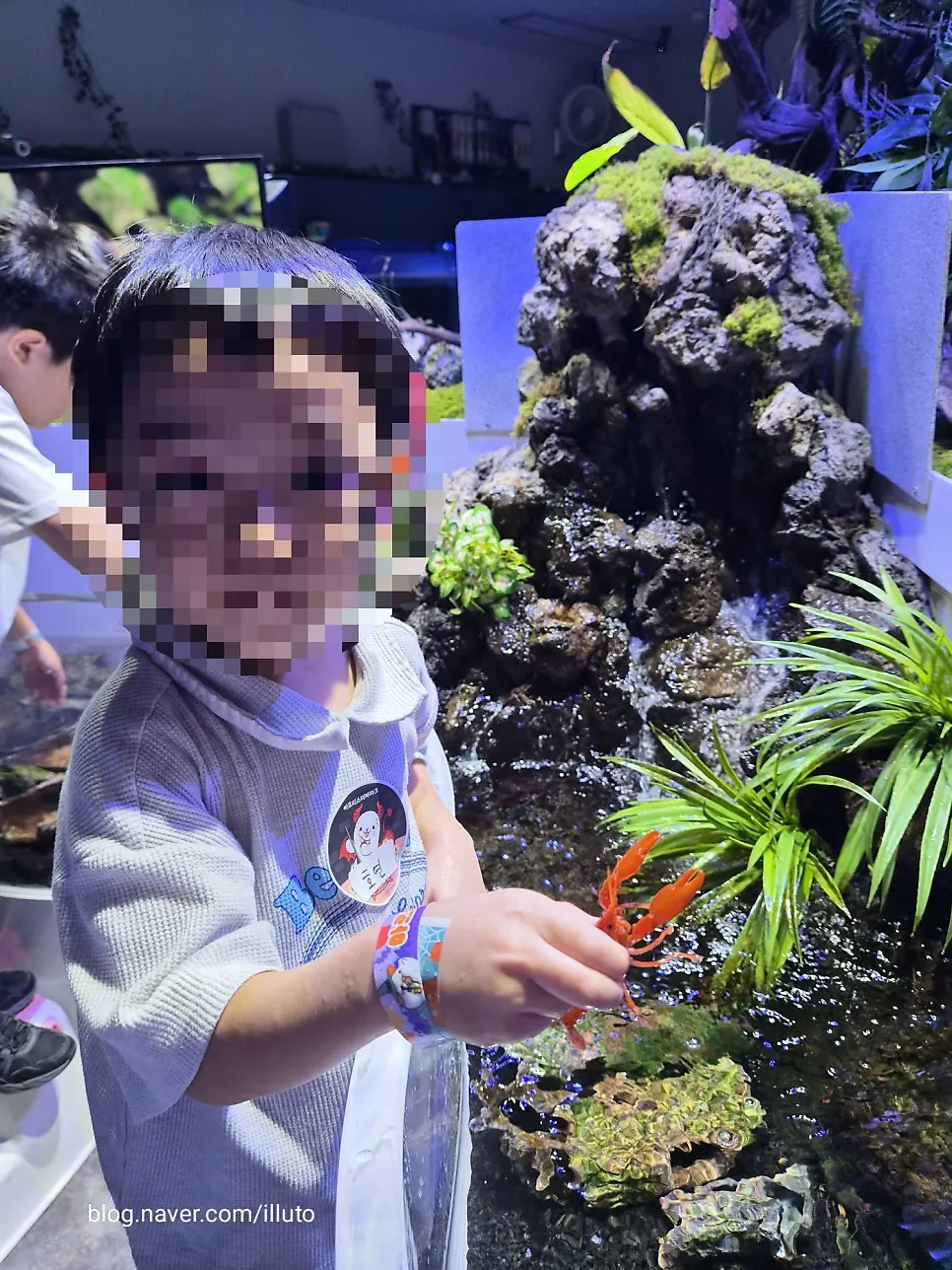 Child observing a caught crayfish