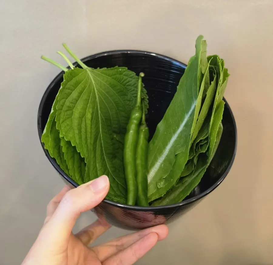 Basic side dishes and wrap vegetables spread