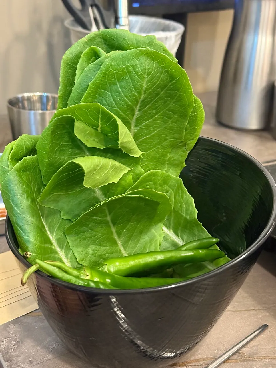 自助吧準備的新鮮生菜