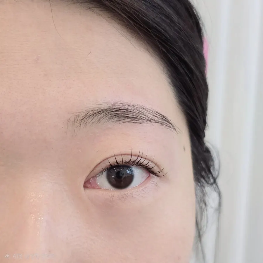 Eyebrows after completed brow waxing