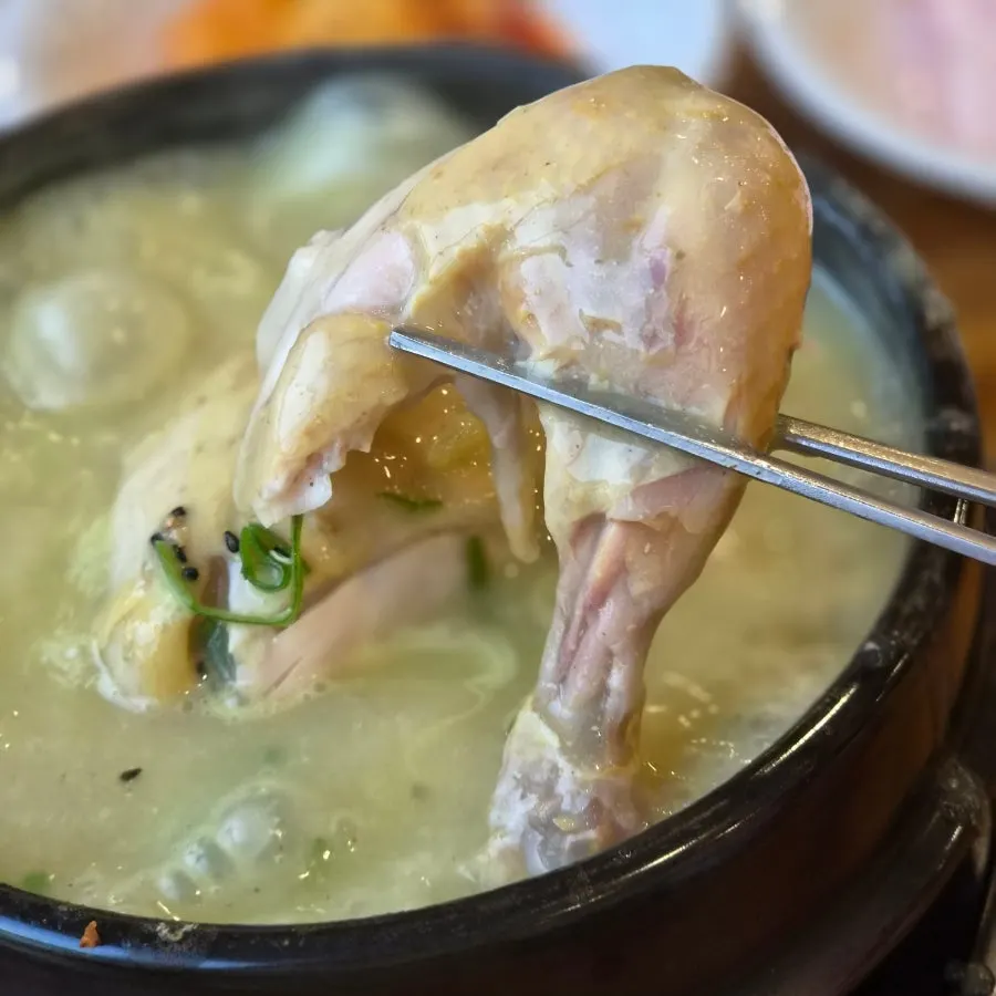 Tender samgyetang chicken falling off the bone
