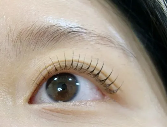 Lash curl lifted to a level between strong and natural