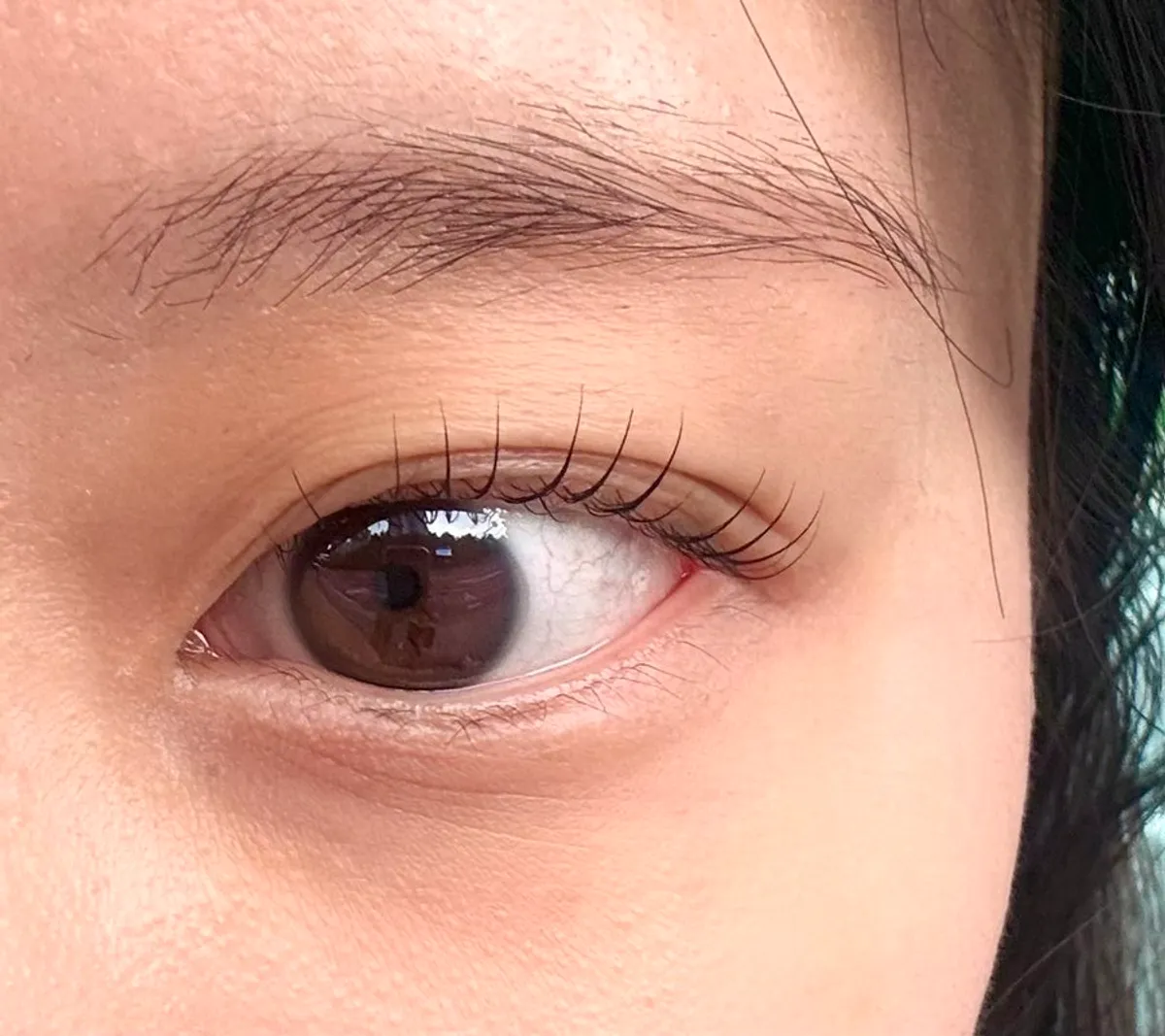 Finished lash lift curl seen in natural light