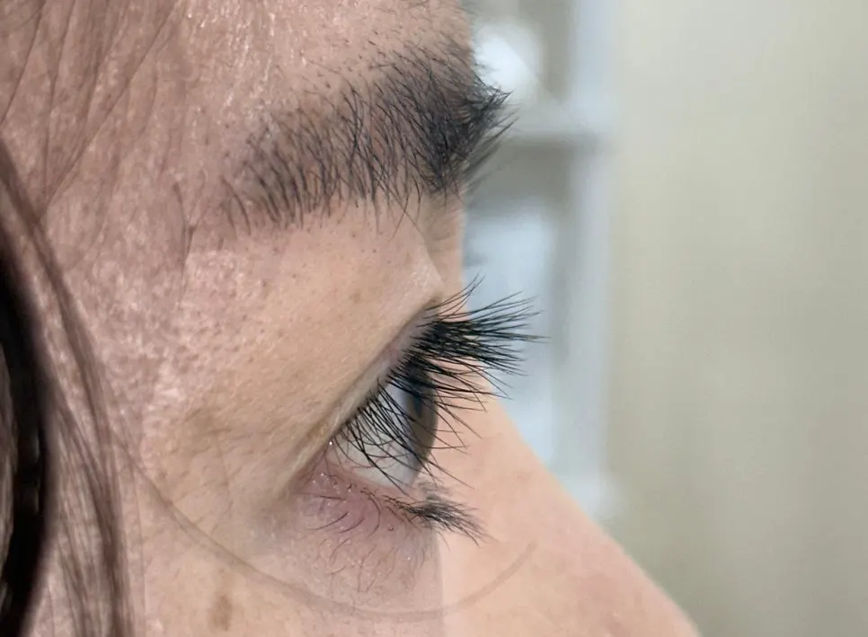 Lifted lashes after the lash lift, front view