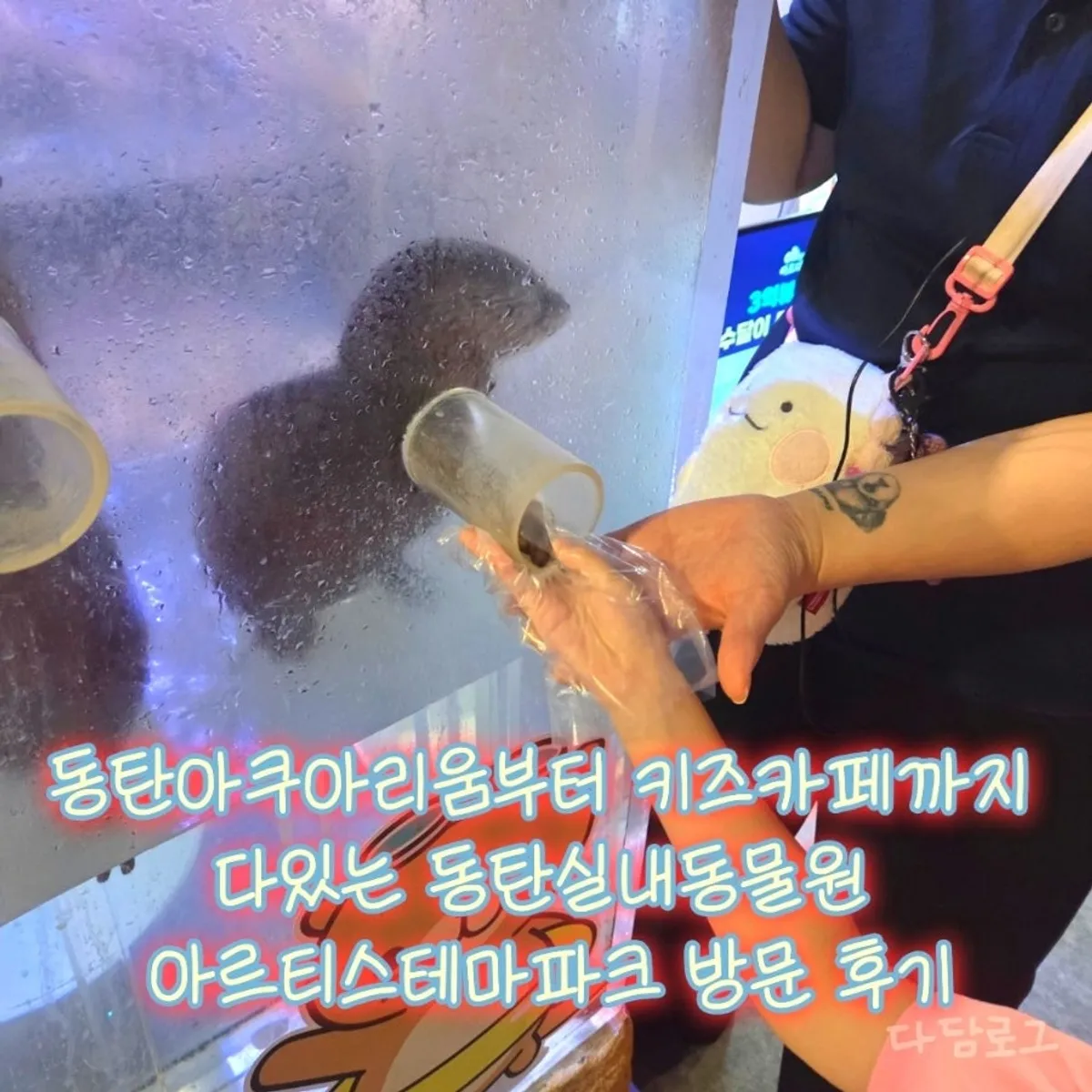 동탄 실내동물원 아르티스테마파크 방문 대표 이미지