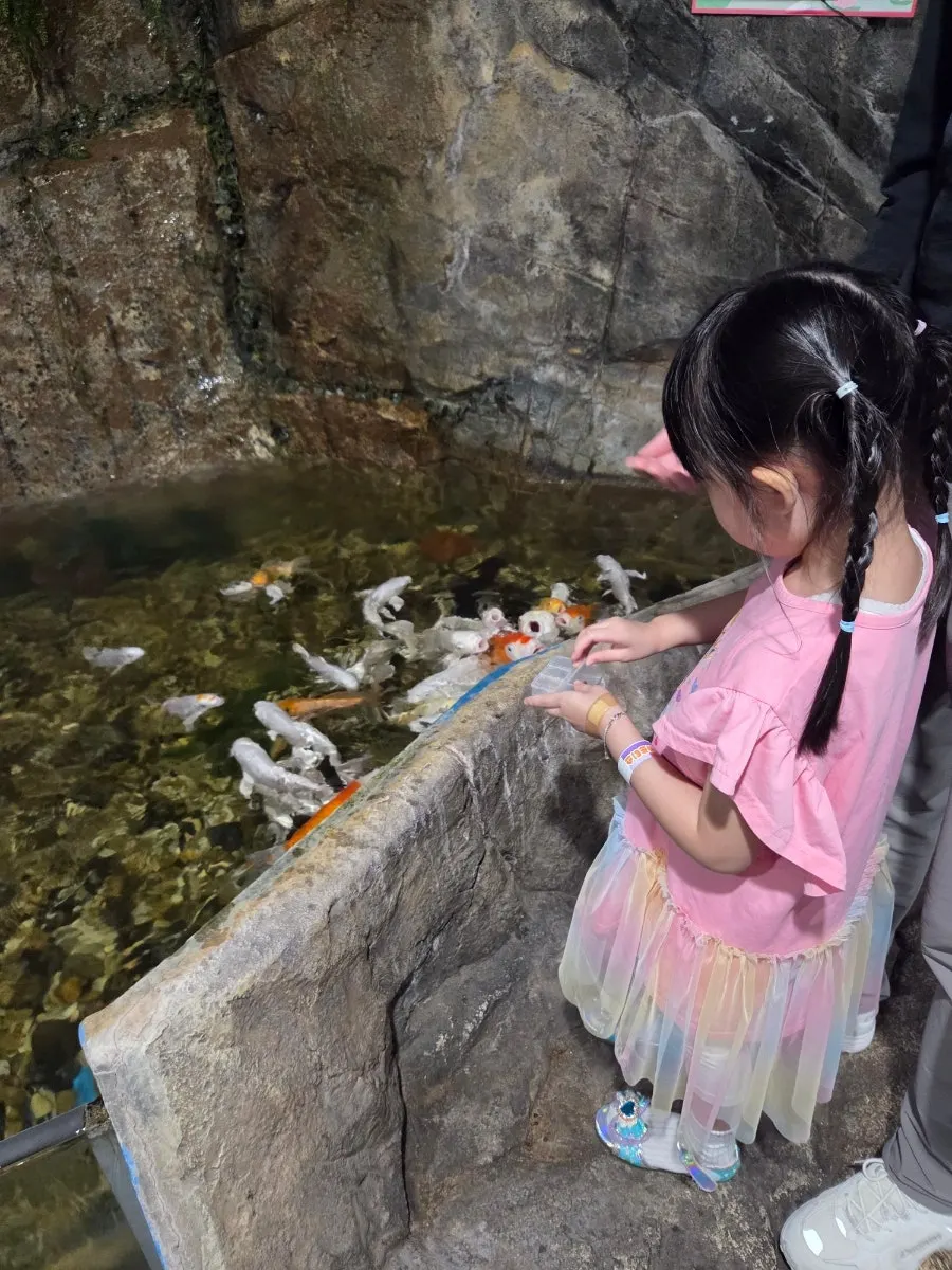투구게를 직접 만져보는 아이