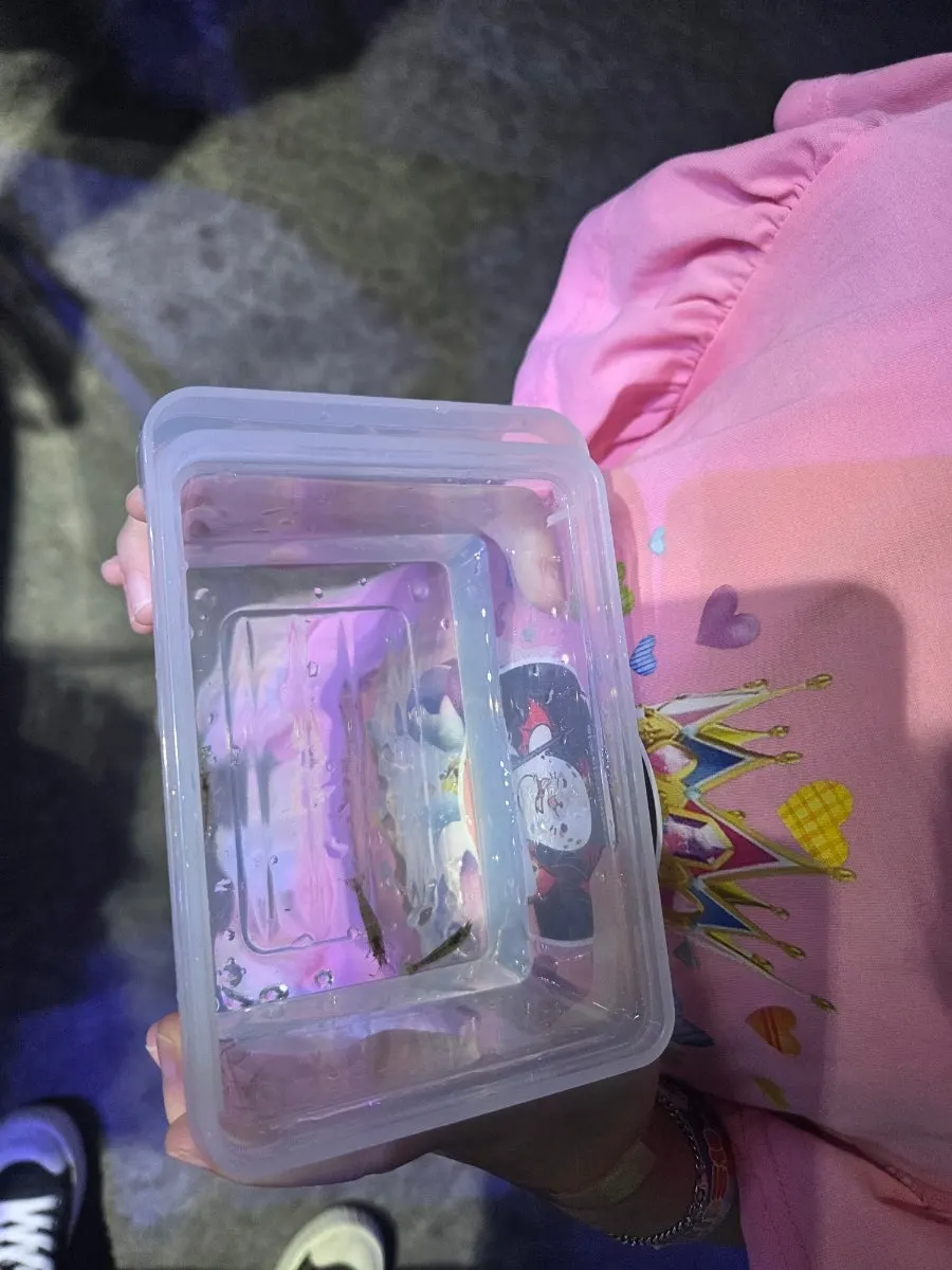 새우 잡기 체험을 하는 아이