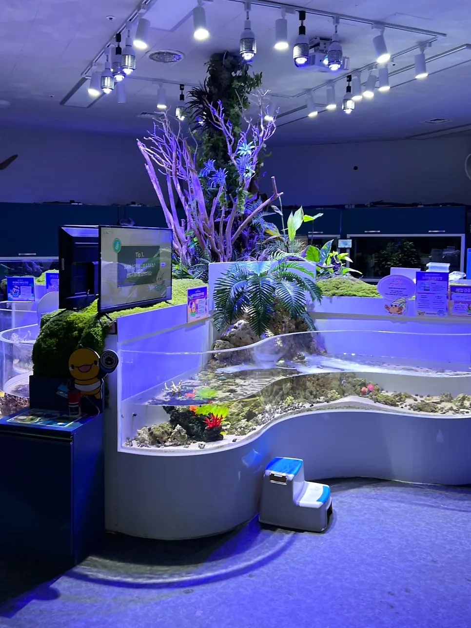 Information area at Artis Theme Park