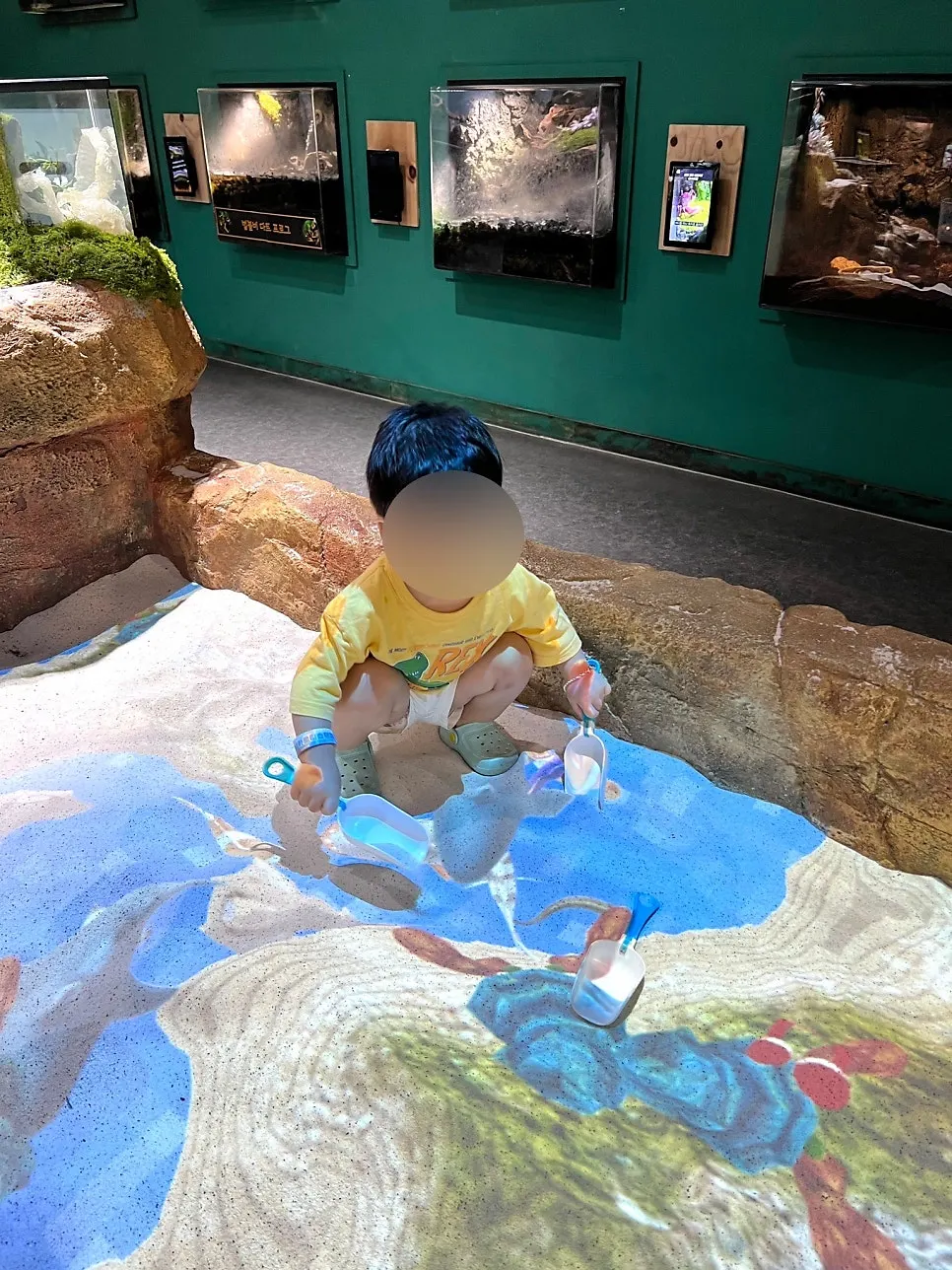 View of the experience area at Artis Theme Park