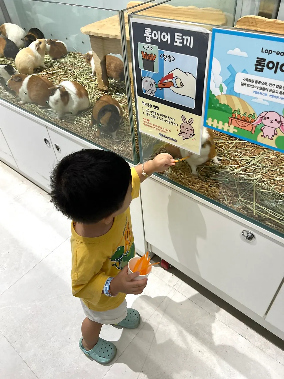 Aquarium zone themed around the five oceans