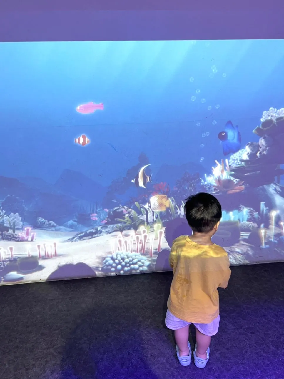 Watching the stingray feeding