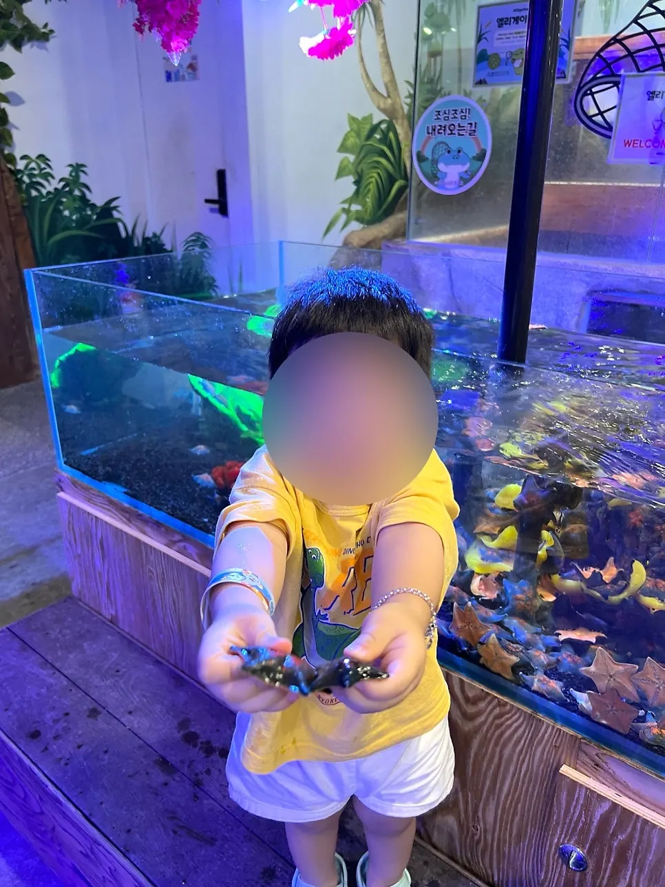 Touching lizards and starfish directly