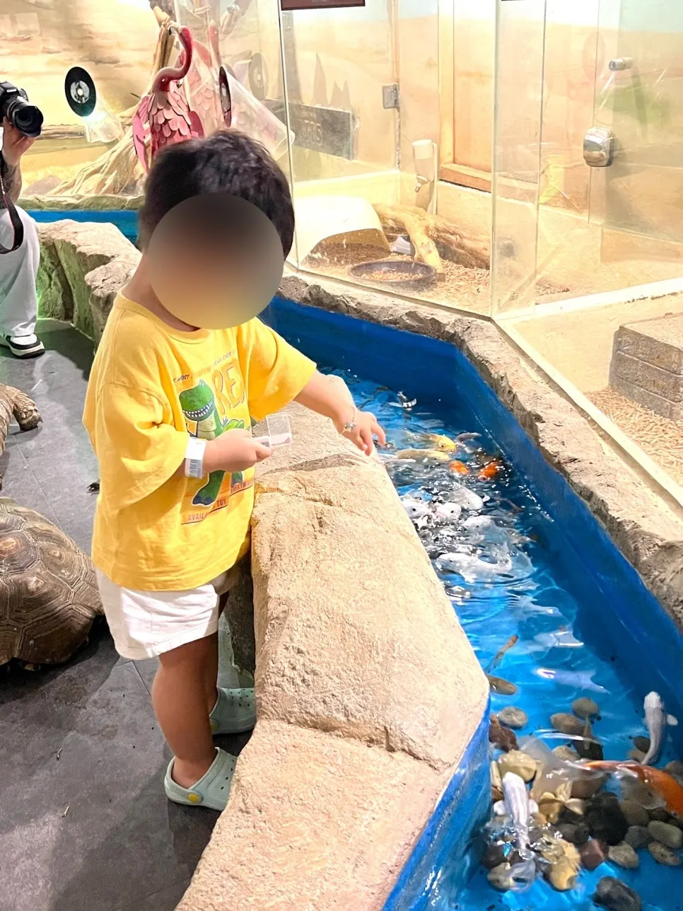 A child focused on watching the animals