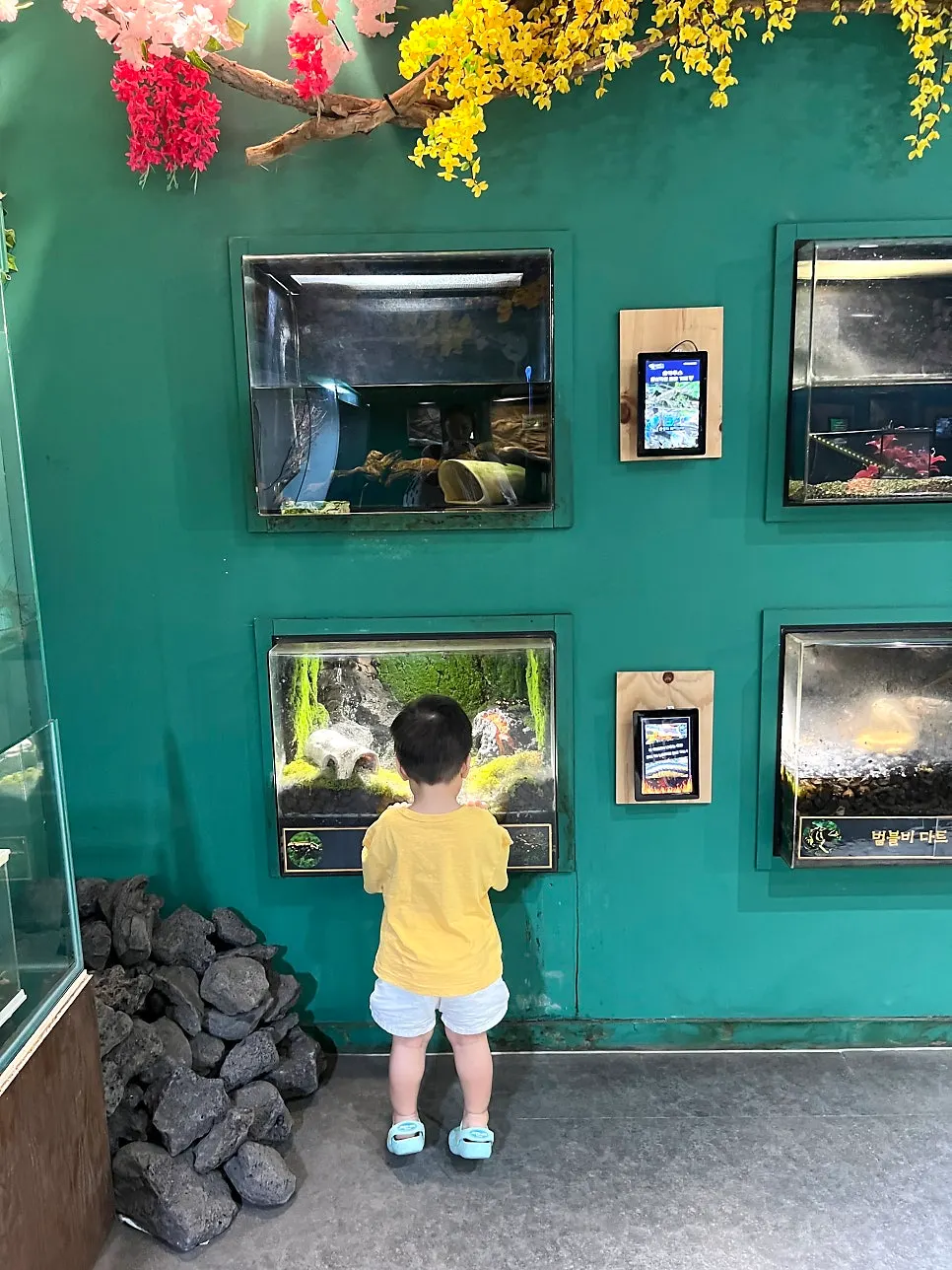 Walking around the exhibit area at Artis Theme Park