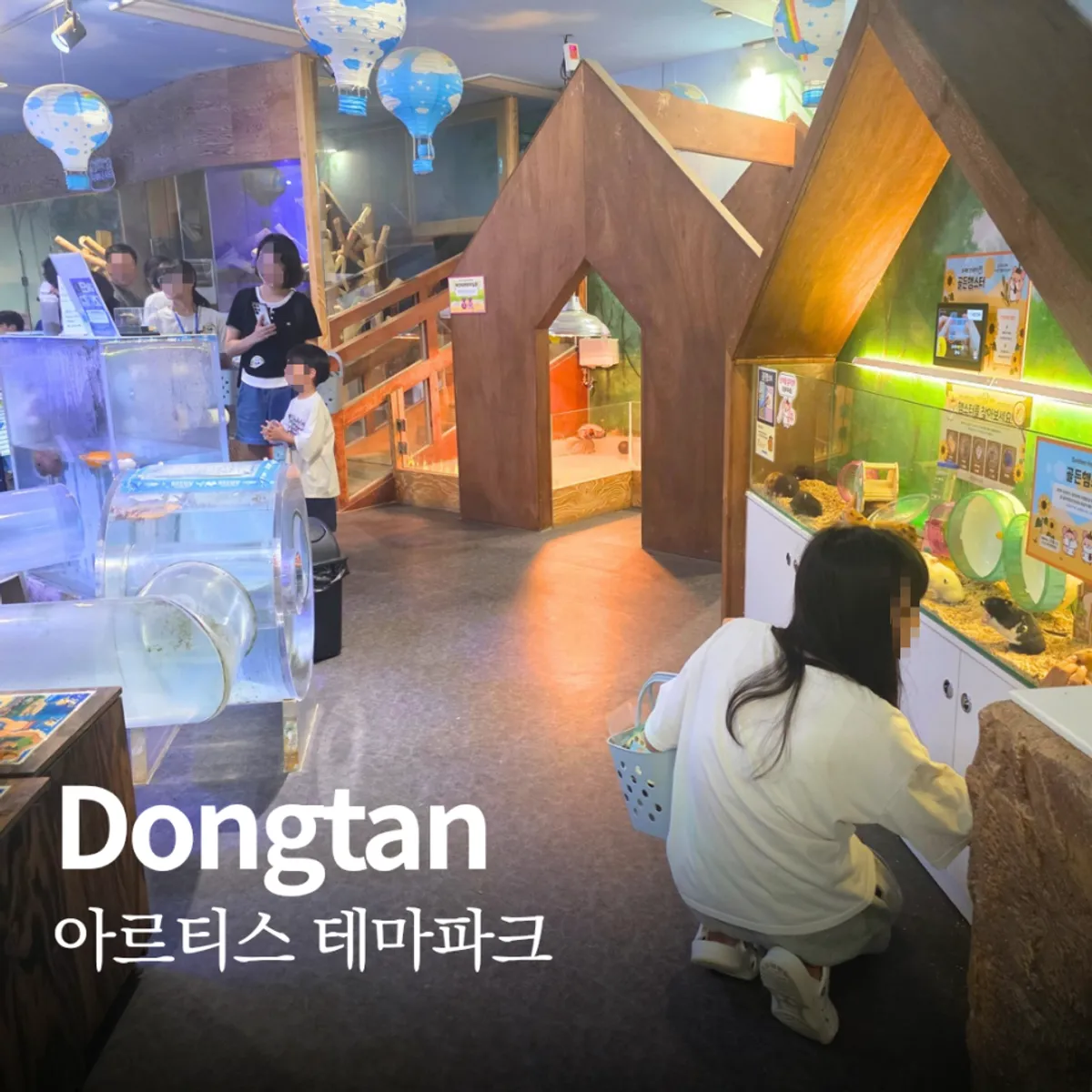 동탄 아르티스 테마파크 대표 이미지