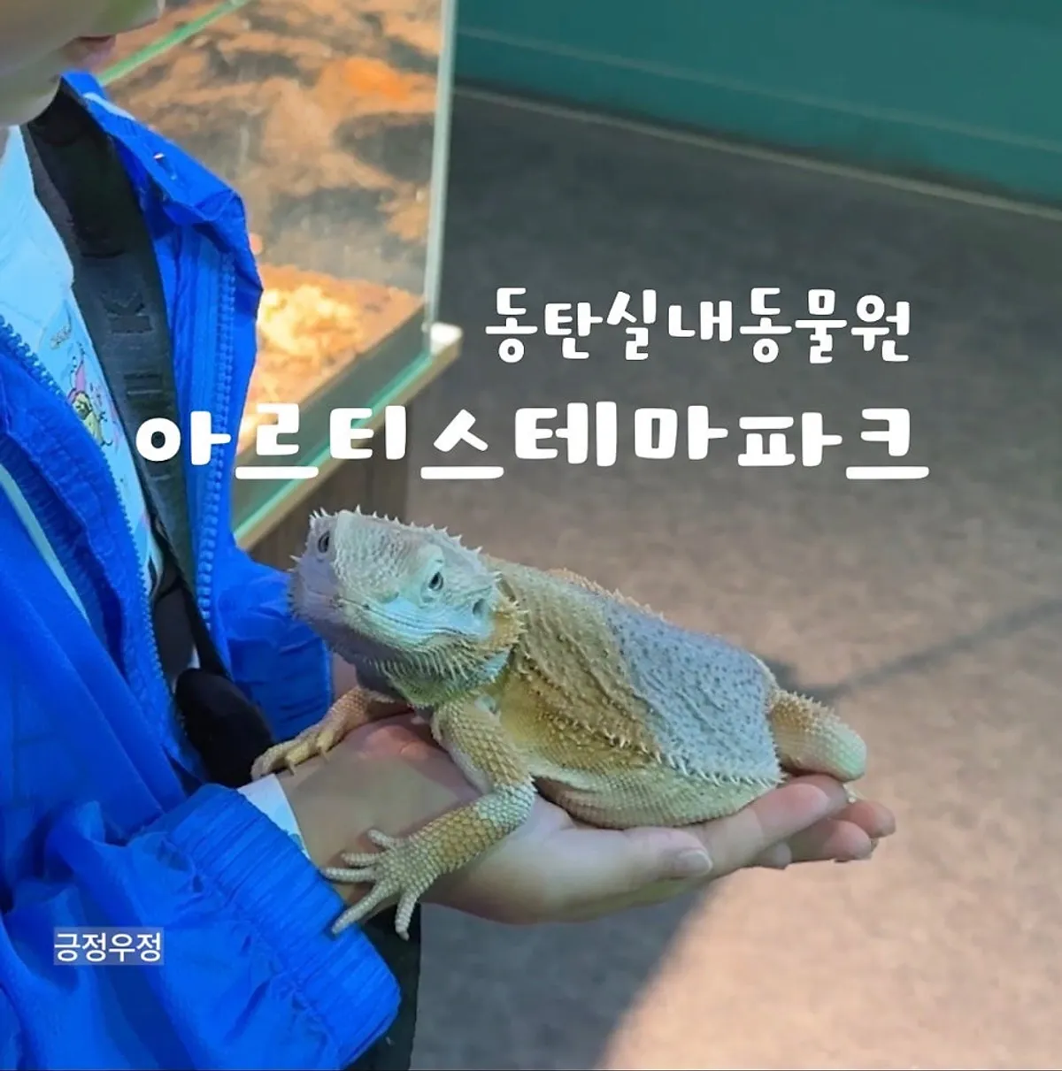 Cover photo of a visit to Artis Theme Park, an indoor animal park in Dongtan