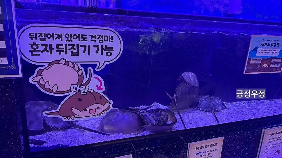 View of tanks in the aquarium zone
