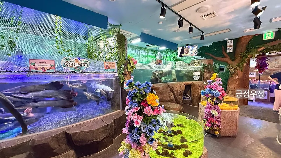 Aquarium zone where you can see seals and otters
