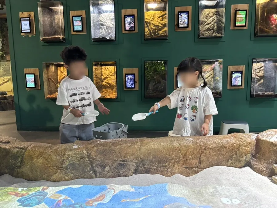 Insect touching experience in the reptile hall