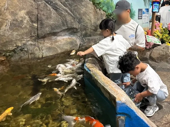 Sand play area inside the reptile hall