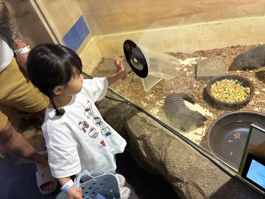 Tank for the carp feeding experience zone