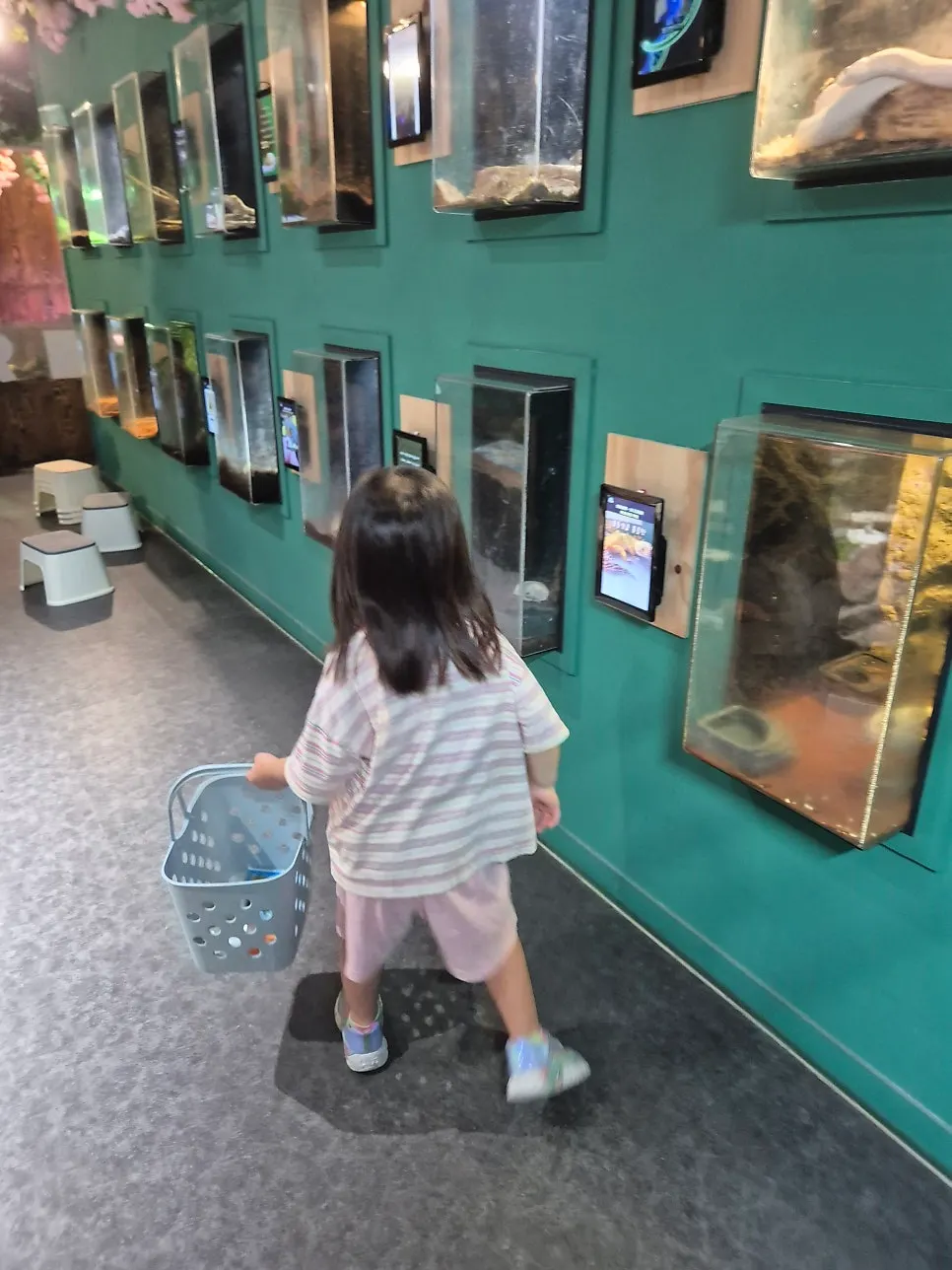 A child touching an animal directly