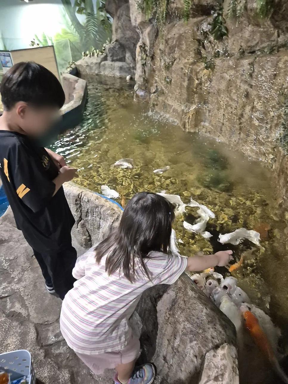 A child observing a reptile up close