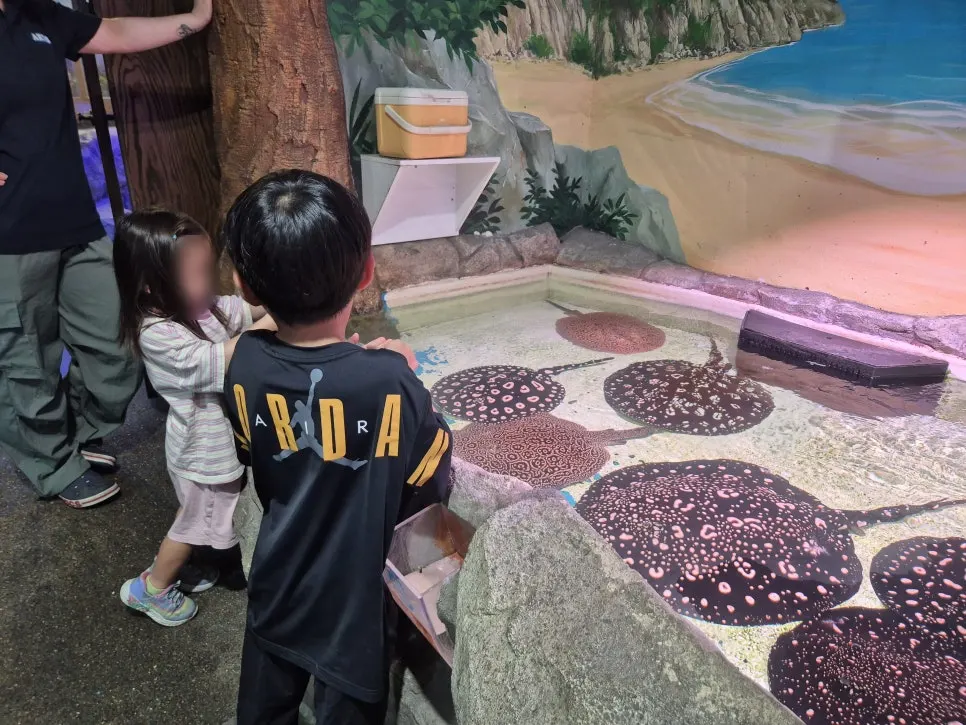 The ray feeding tank