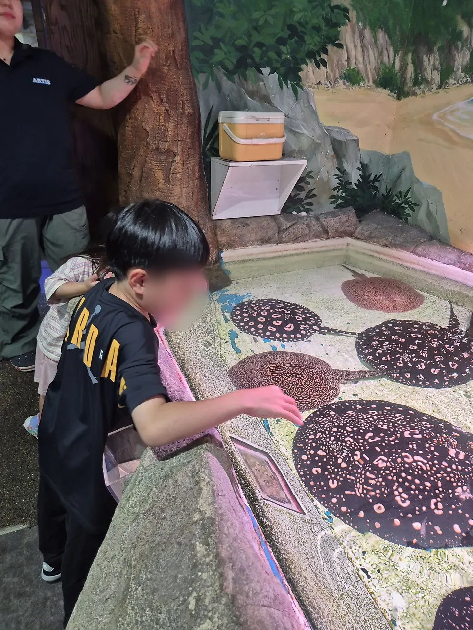 A child feeding a ray