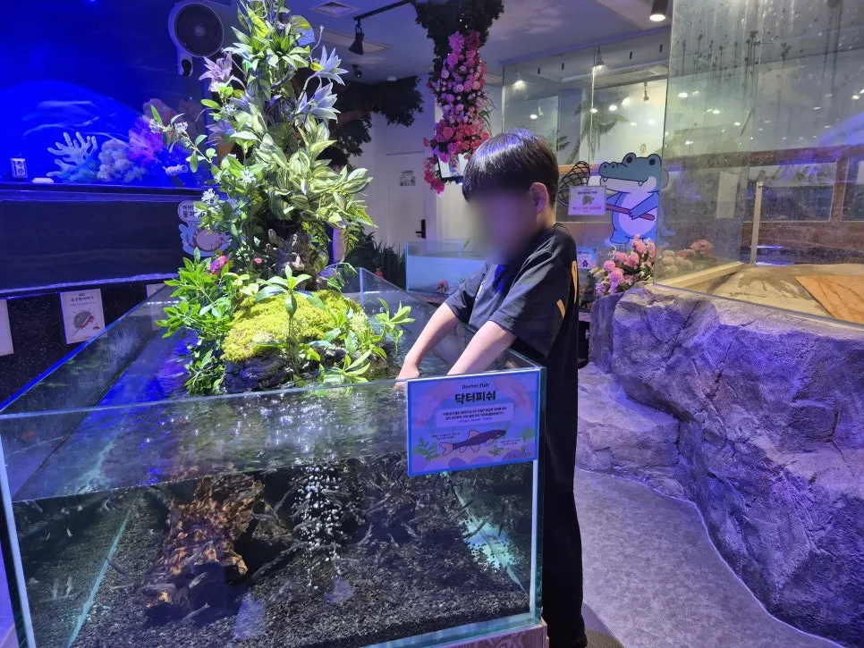 A hand placed in the doctor fish tank