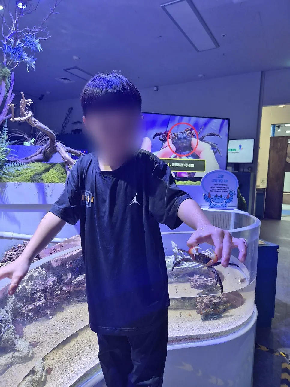 A son fully focused on catching a crab