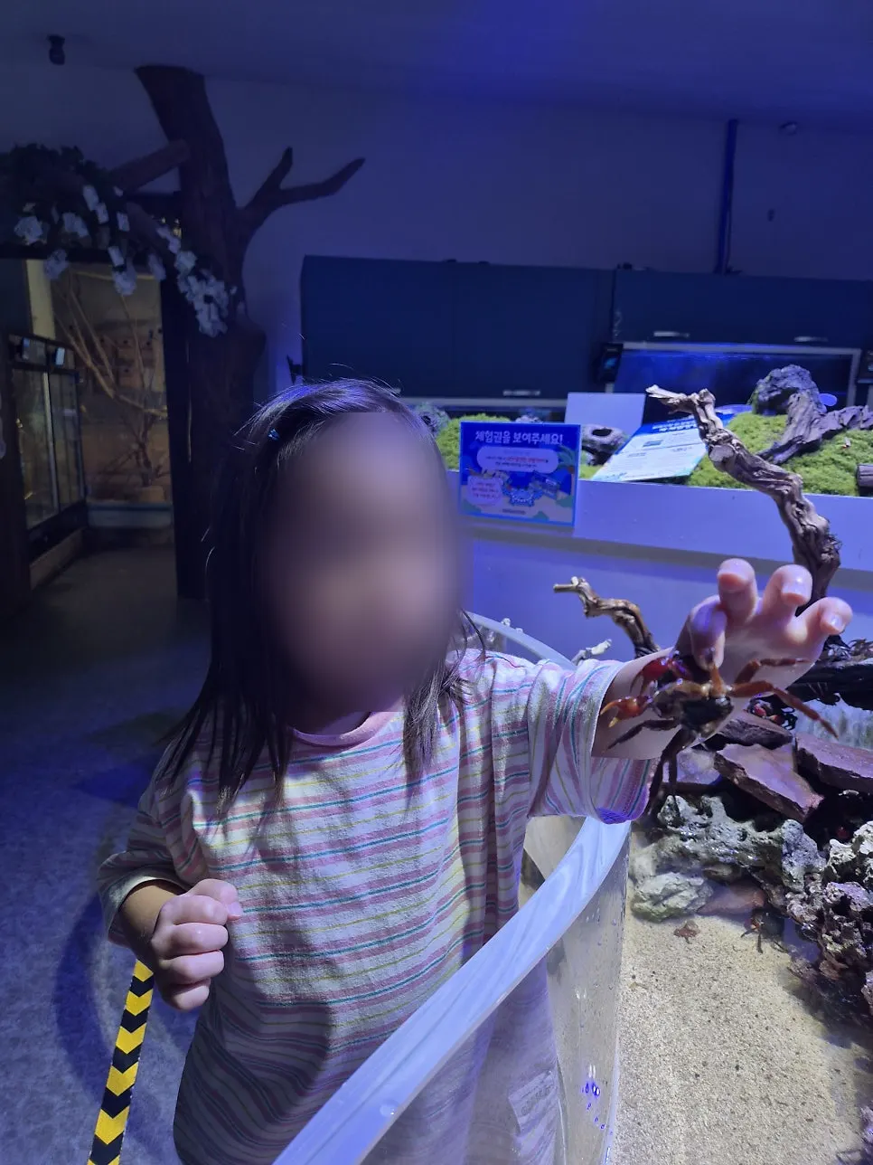 A child holding up a crab they caught