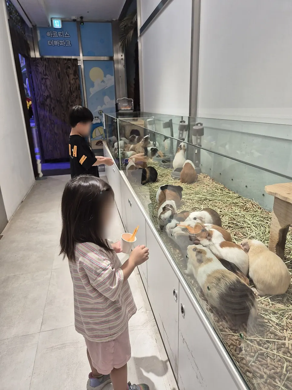 The viewing route through the indoor animal park on a rainy day