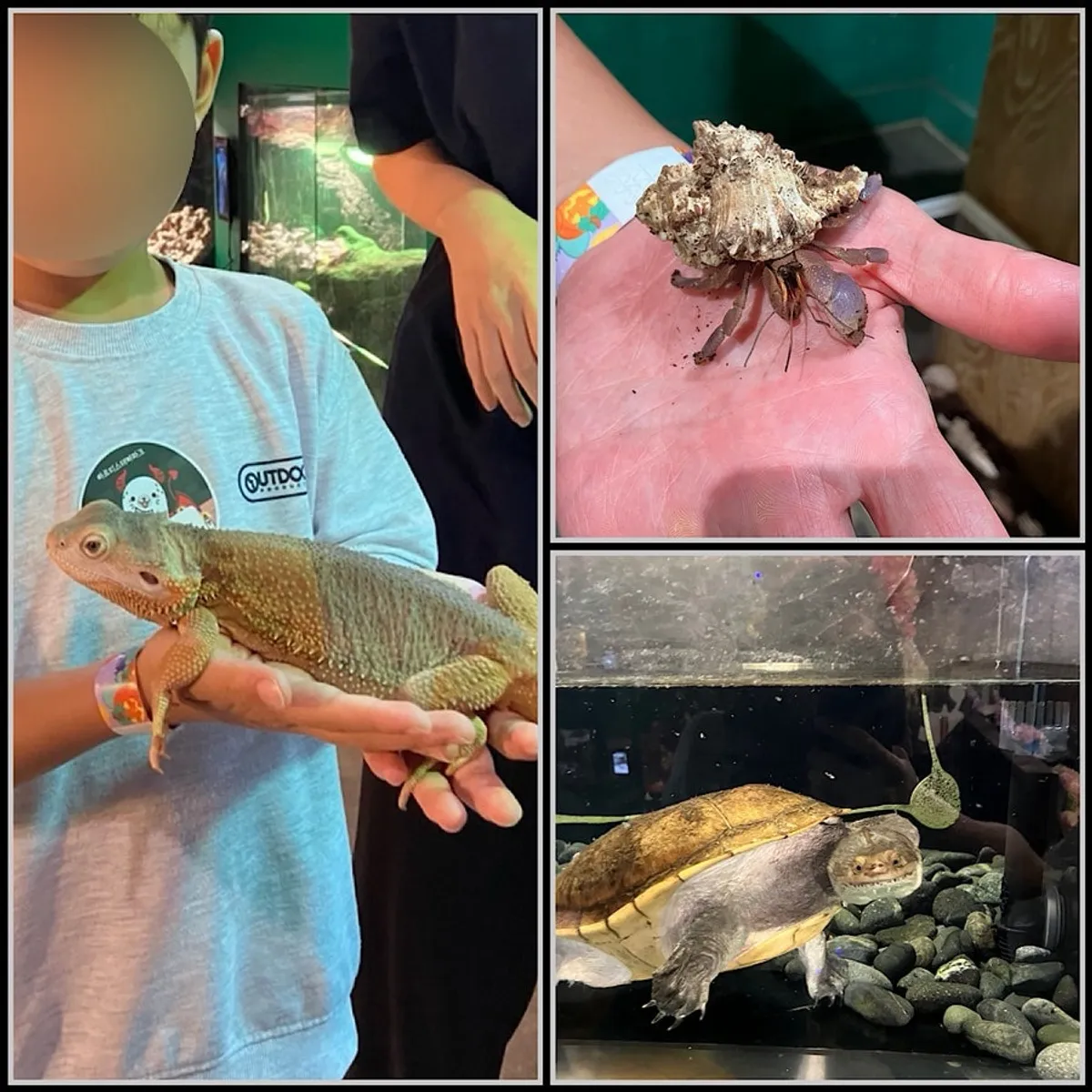 Visit to Artis Theme Park indoor zoo in Dongtan