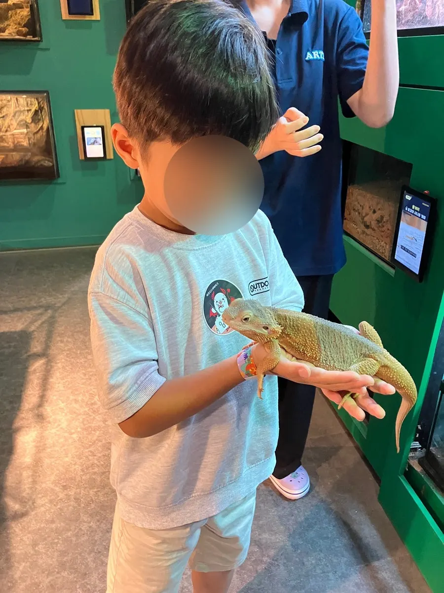 Reptile exhibit section at Artis Theme Park